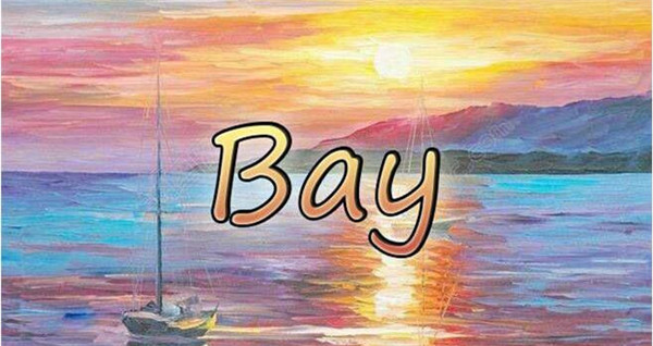 历练与成长：广东财经大学“Bay”和“一碗杂酱面”团队的参赛心